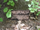 PICTURES/South Carolina - Keowee Key & Greenville/t_Cherokee Trail Tree Sign1.jpg